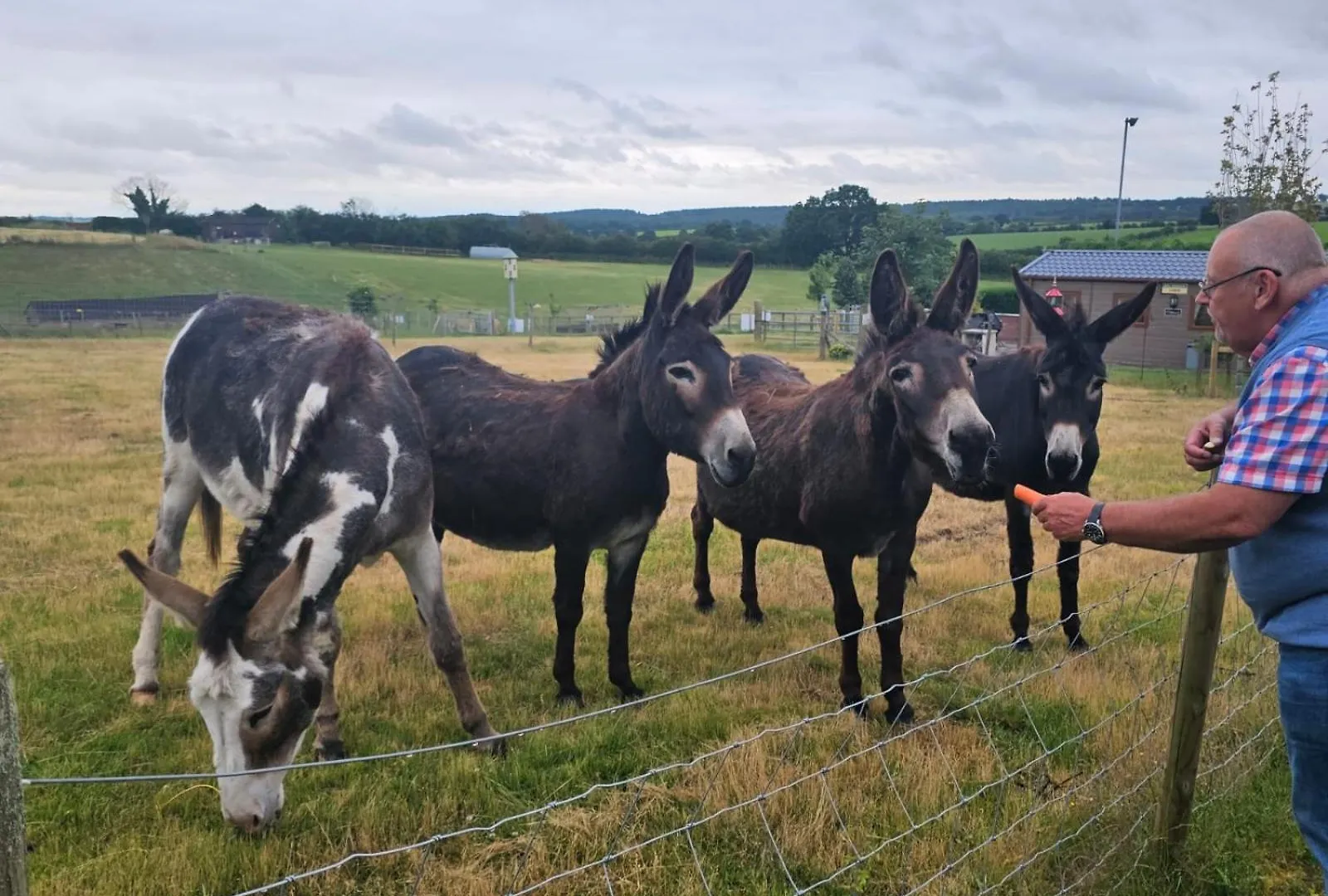 Fairview Farm Holiday Accommodation 14 Luxury Lodges, Cabins, Dog Friendly, Suitable For Couples, Families And Groups, Wedding Guests , Corporate Events, Sleeps 2-65 Guests In Ravenshead, Nottingham Near Sherwood Forest, Set In 88 Acres 0*,  Великобритания