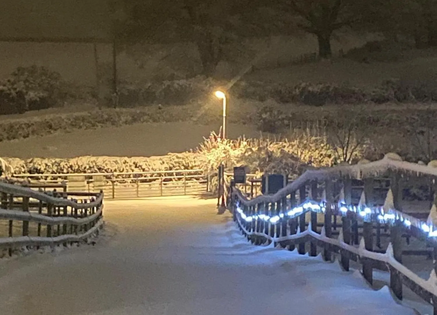 Fairview Farm Holiday Accommodation 14 Luxury Lodges, Cabins, Dog Friendly, Suitable For Couples, Families And Groups, Wedding Guests , Corporate Events, Sleeps 2-65 Guests In Ravenshead, Nottingham Near Sherwood Forest, Set In 88 Acres Великобритания