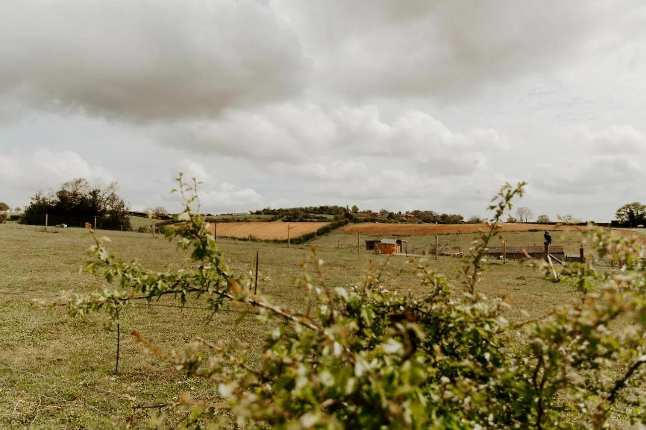 Fairview Farm Holiday Retreat: Luxury Lodges in Nottinghamshire Countryside