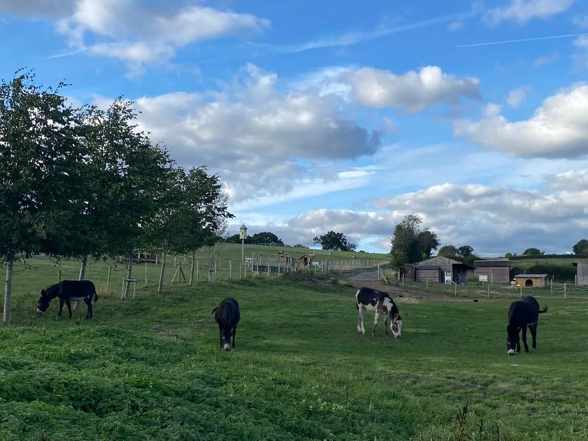 Fairview Farm Holiday Retreat: Luxury Lodges in Nottinghamshire Countryside