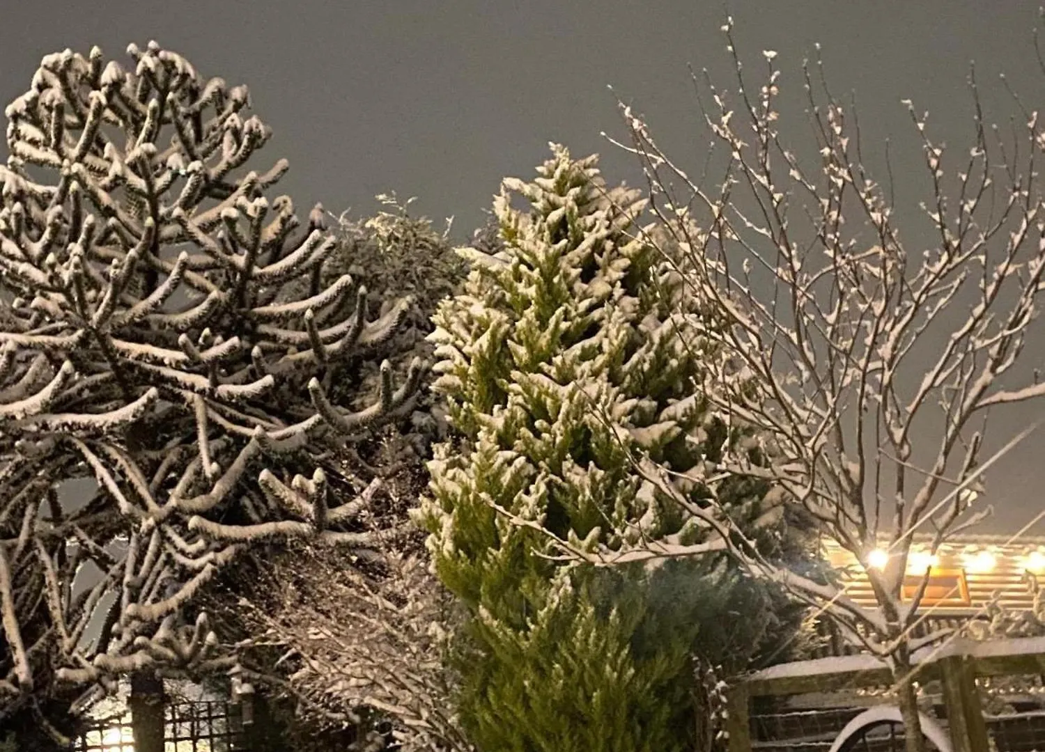 Fairview Farm Holiday Retreat: Luxury Lodges in Nottinghamshire Countryside Chalet